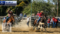 Tumut_Rodeo_2008 012