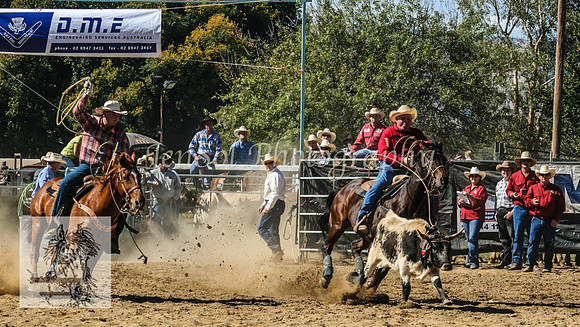 Tumut_Rodeo_2008 012