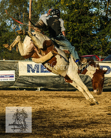 Tumut_Rodeo_2008 201