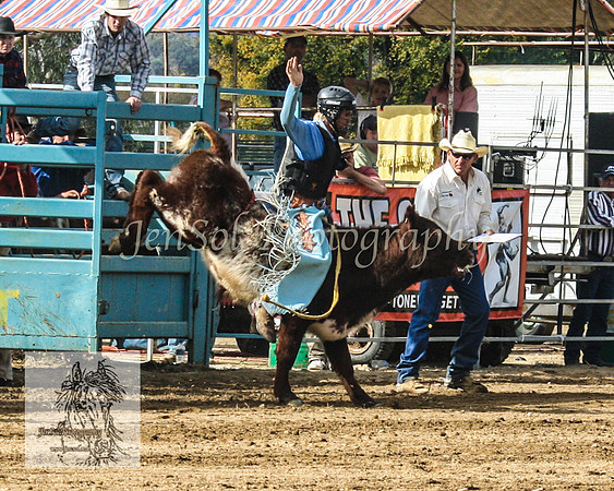 Tumut_Rodeo_2008 097