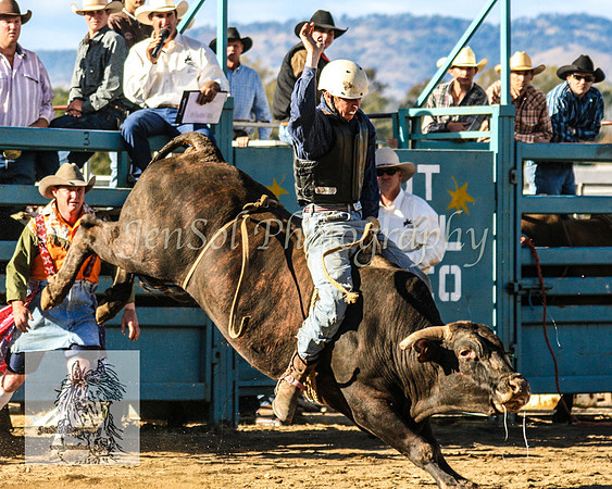 Tumut_Rodeo_2008 143