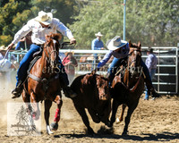 Tumut_Rodeo_2008 003