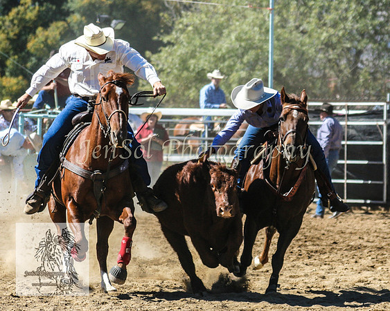 Tumut_Rodeo_2008 003