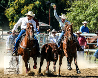 Tumut_Rodeo_2008 007