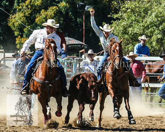 Tumut_Rodeo_2008 007