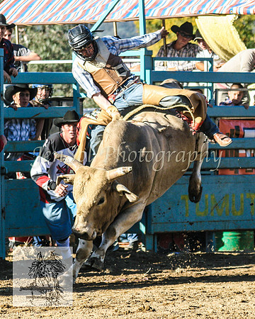 Tumut_Rodeo_2008 154