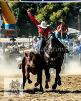 Tumut_Rodeo_2008 004