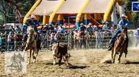 Tumut_Rodeo_2008 016