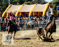 Tumut_Rodeo_2008 018