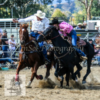 Tumut_Rodeo_2008 039