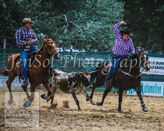 CoomaRodeo2014_0713