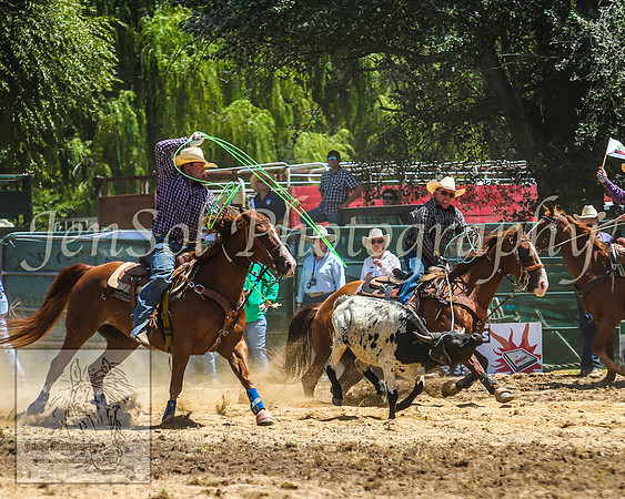 CoomaRodeo2014_0269