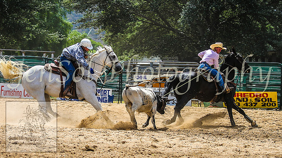 CoomaRodeo2014_0925