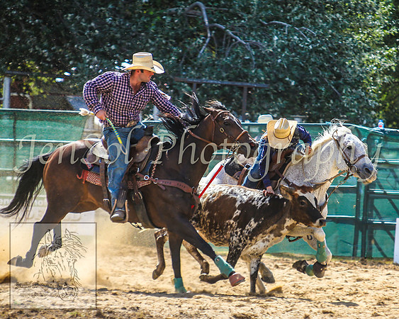 CoomaRodeo2014_1155