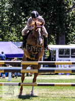 Tues1_Showjumping 064