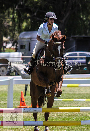 Tues1_Showjumping 018