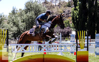 Tues1_Showjumping 101