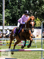 Tues1_Showjumping 006