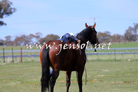 TumbarumbaStockmensChallenge_0978