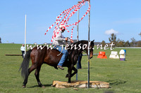 TumbarumbaStockmensChallenge_0943
