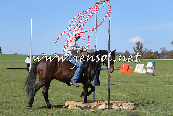 TumbarumbaStockmensChallenge_0943