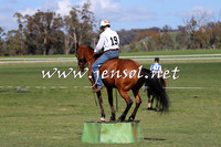 TumbarumbaStockmensChallenge_0939