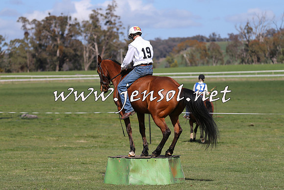 TumbarumbaStockmensChallenge_0939