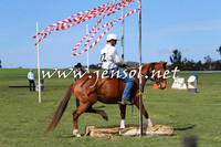 TumbarumbaStockmensChallenge_0947