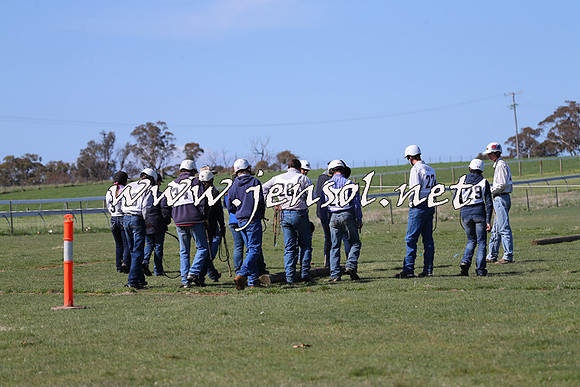 TumbarumbaStockmensChallenge_0929