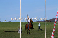 TumbarumbaStockmensChallenge_0934