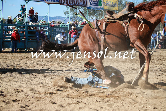 TumutRodeo2016Two_3647
