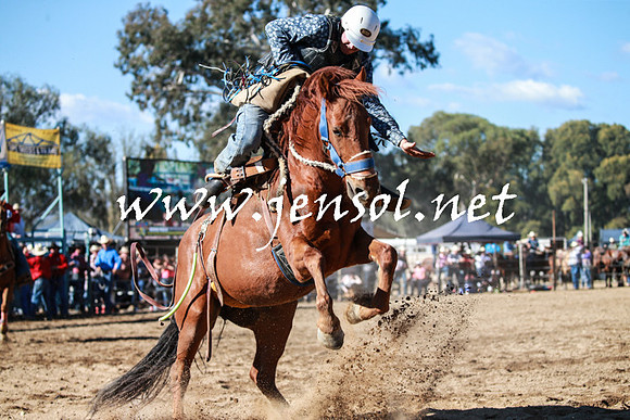 TumutRodeo2016Two_3625