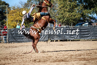 TumutRodeo2016Two_3478