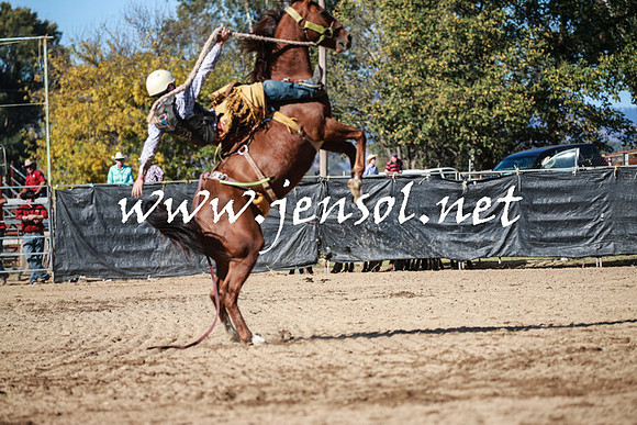 TumutRodeo2016Two_3478
