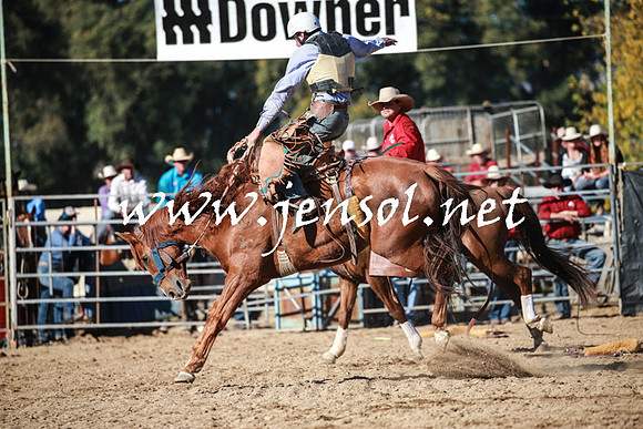 TumutRodeo2016Two_3778
