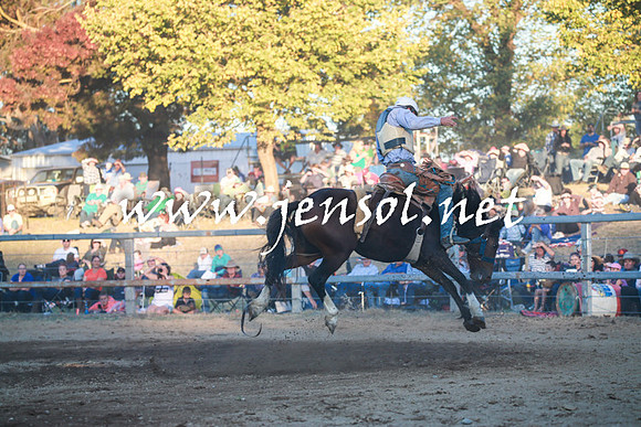 TumutRodeo2016Two_4839
