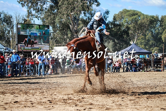 TumutRodeo2016Two_3609