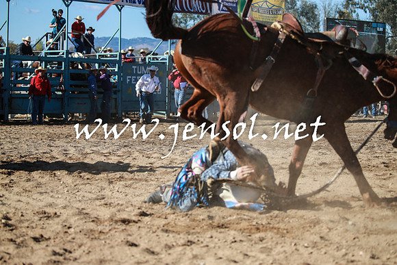 TumutRodeo2016Two_3653