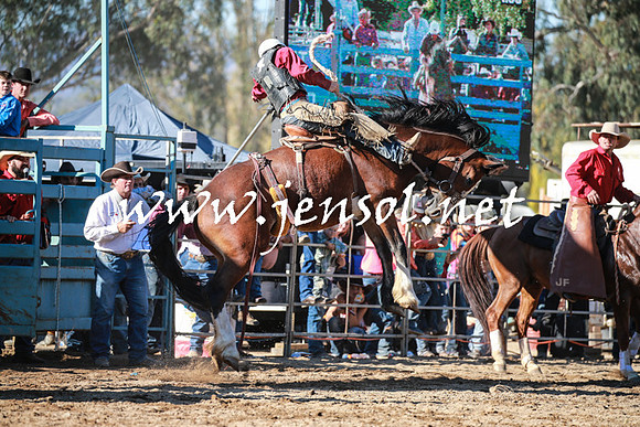TumutRodeo2016Two_3856