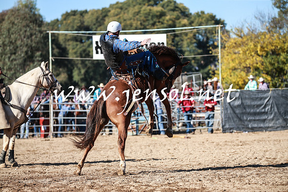TumutRodeo2016Two_3696