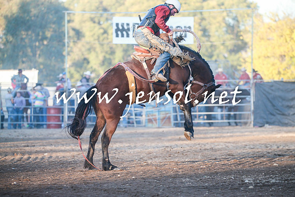 TumutRodeo2016Two_4649