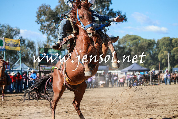 TumutRodeo2016Two_3629