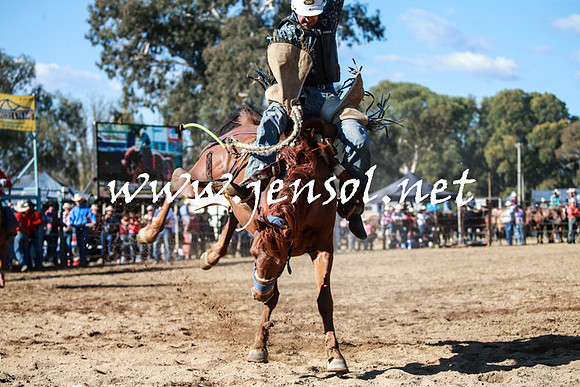 TumutRodeo2016Two_3623