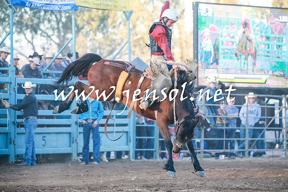 TumutRodeo2016Two_4624