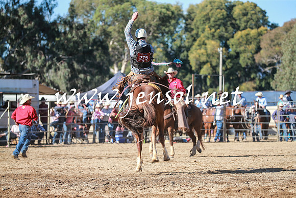 TumutRodeo2016Two_3822