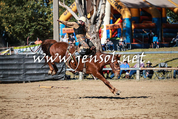 TumutRodeo2016Two_3522