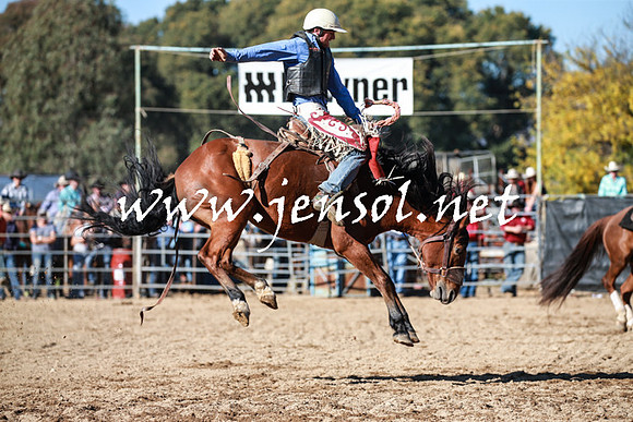 TumutRodeo2016Two_3600