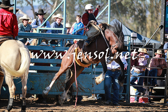 TumutRodeo2016Two_3857