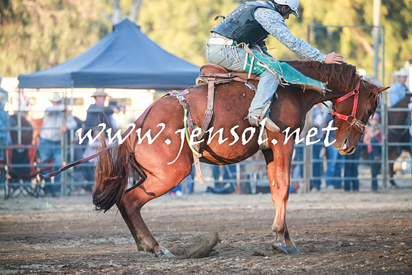 TumutRodeo2016Two_4712