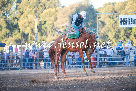 TumutRodeo2016Two_4717